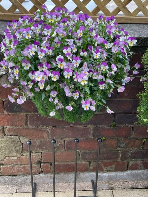 Cute And Cosy 2 Bed Cottage Honley Экстерьер фото